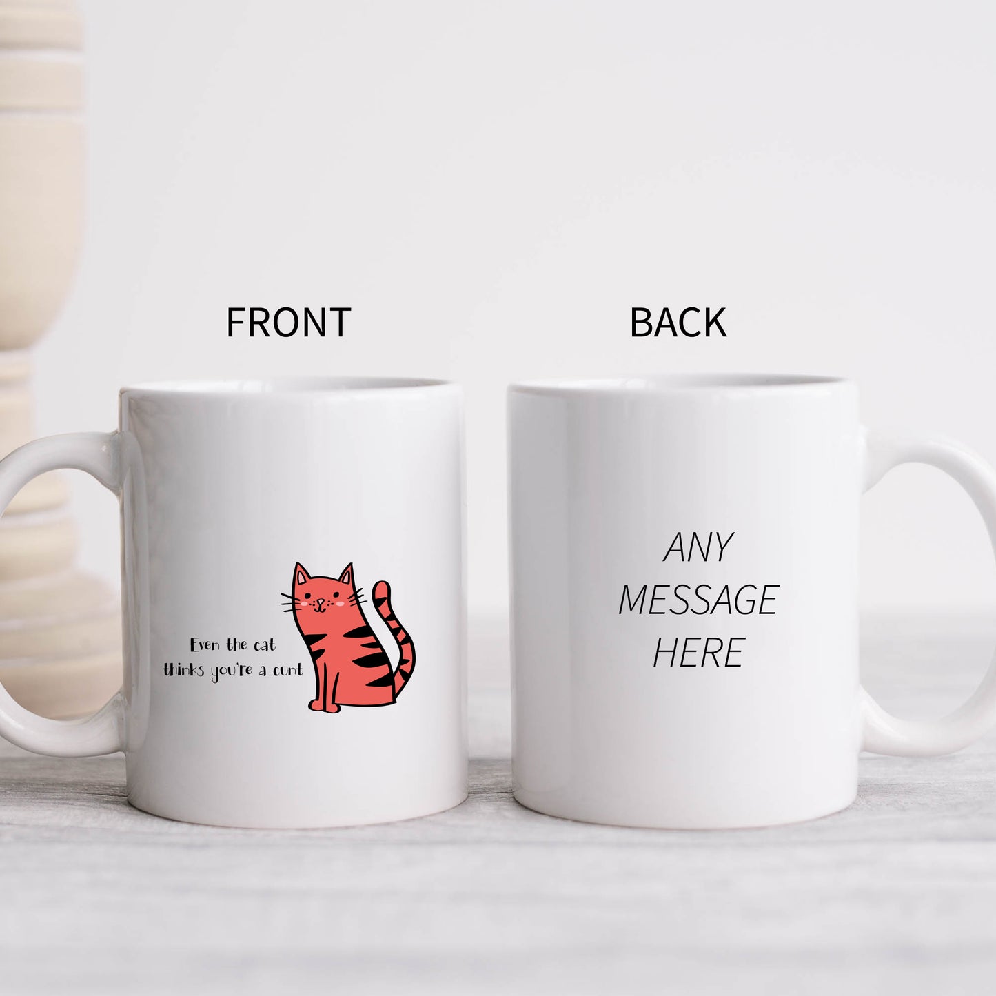 Even The Cat Thinks You're a Cunt Mug, Funny Rude Offensive Gift Cup