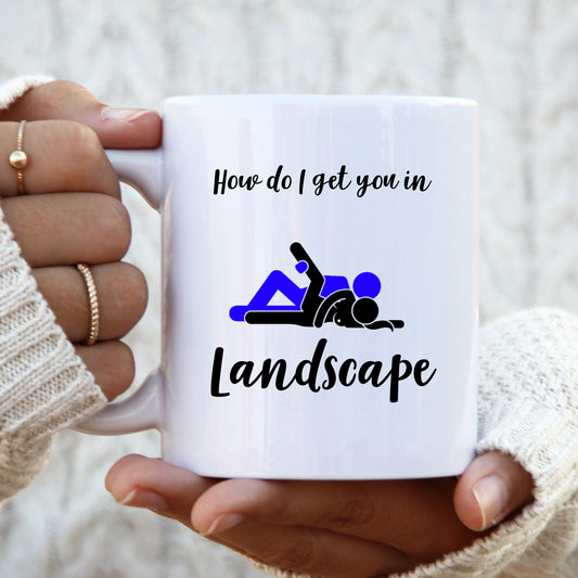 How Do I Get You in Landscape Mug, Rude Sexual Funny Offensive Cup, Birthday Gift