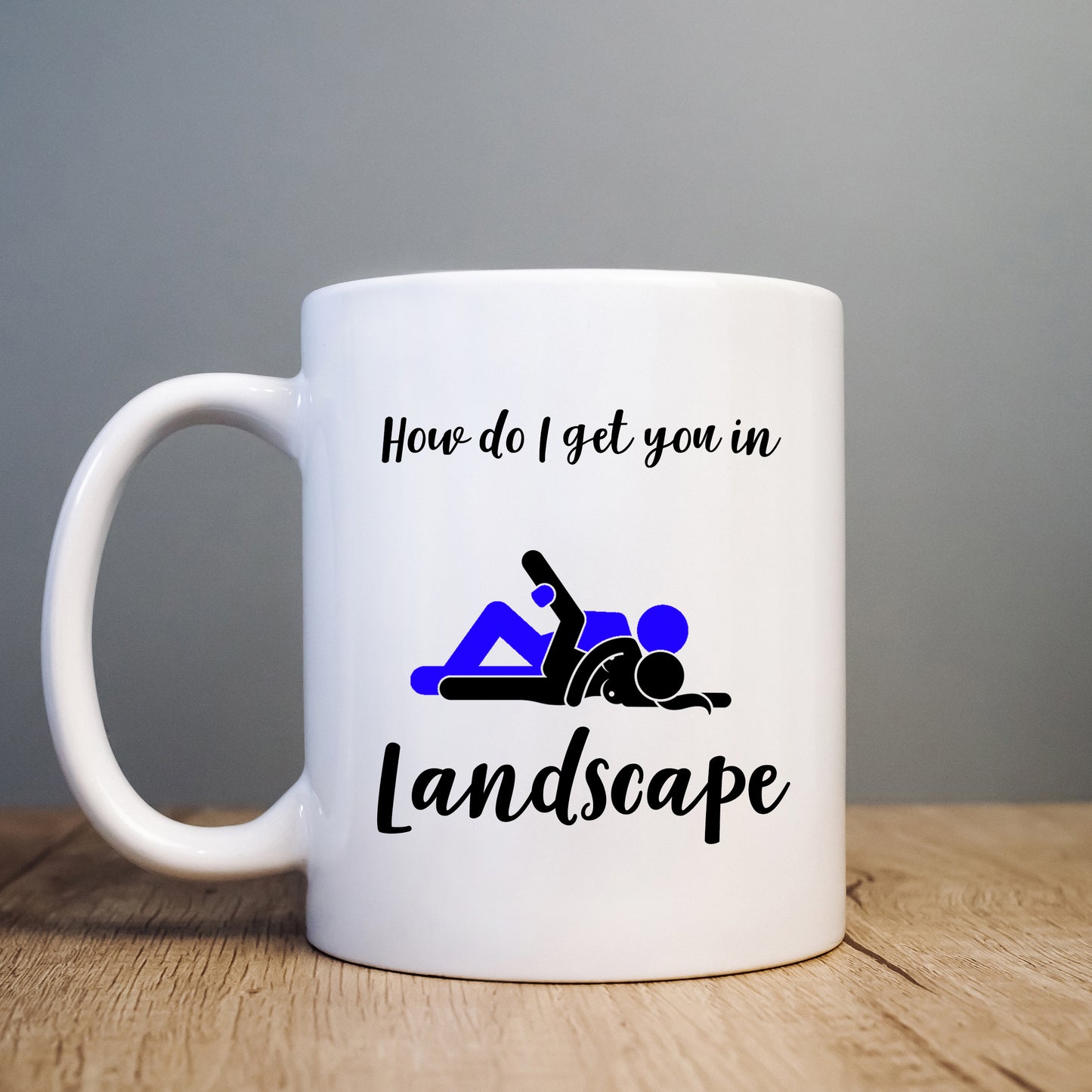 How Do I Get You in Landscape Mug, Rude Sexual Funny Offensive Cup, Birthday Gift